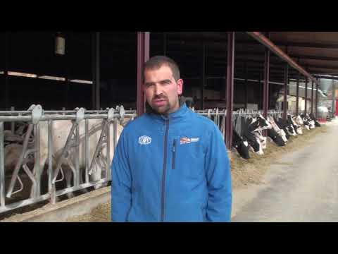 Vdeo: Visitamos la ganadera de vacuno de leche Sdad. Coop. Nuestra...