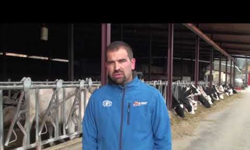 Vdeo: Visitamos la ganadera de vacuno de leche Sdad. Coop. Nuestra...
