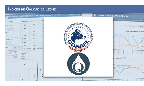 Nuevo portal en SINBAD para consultar ndices de Calidad de Leche...