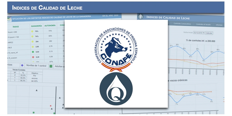 Nuevo portal en SINBAD para consultar ndices de Calidad de Leche calculados a partir de datos del control lechero sobre recuento celular