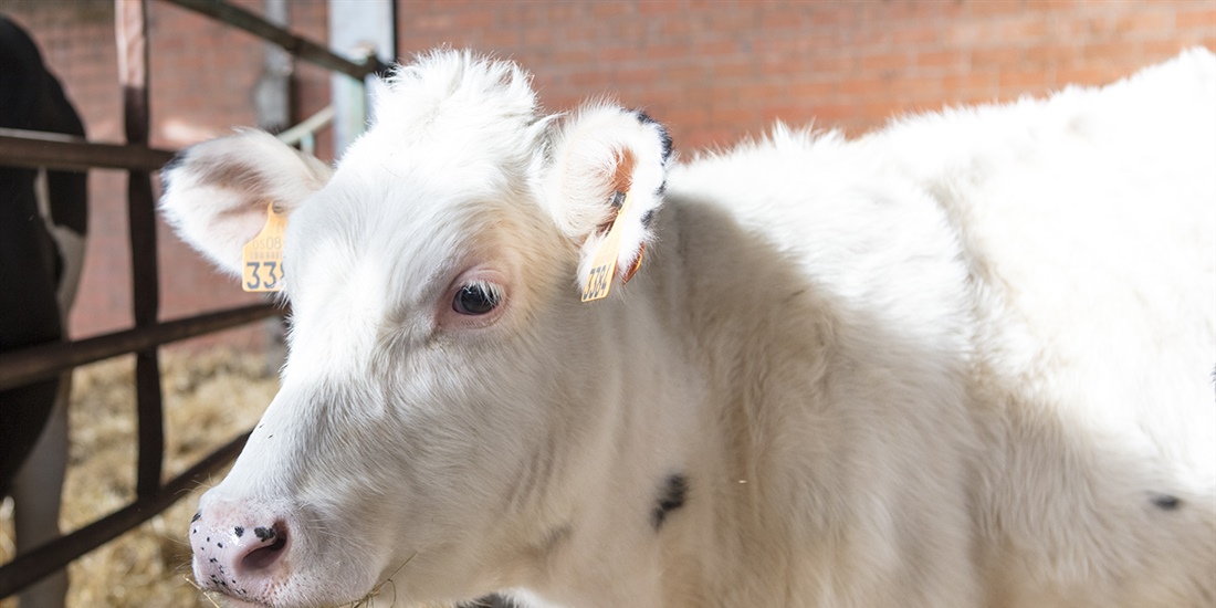 Sdad. Coop. Nuestra Se�ora de Boedo