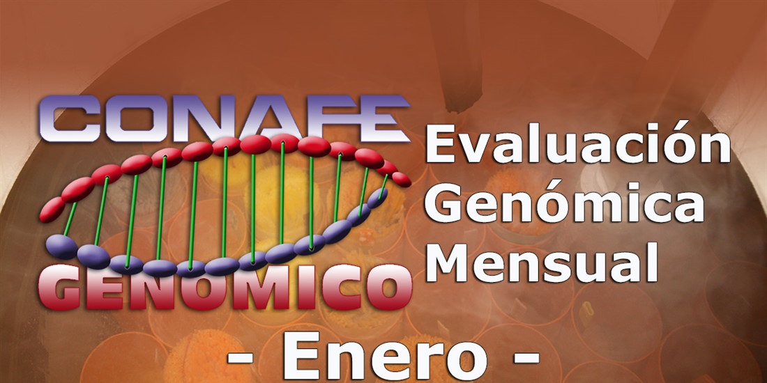 Nuevos toros gen�micos con Prueba Oficial: Evaluaci�n gen�mica de enero...