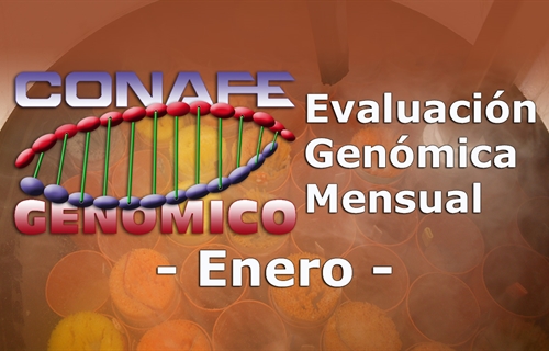 Nuevos toros genmicos con Prueba Oficial: Evaluacin genmica de enero...