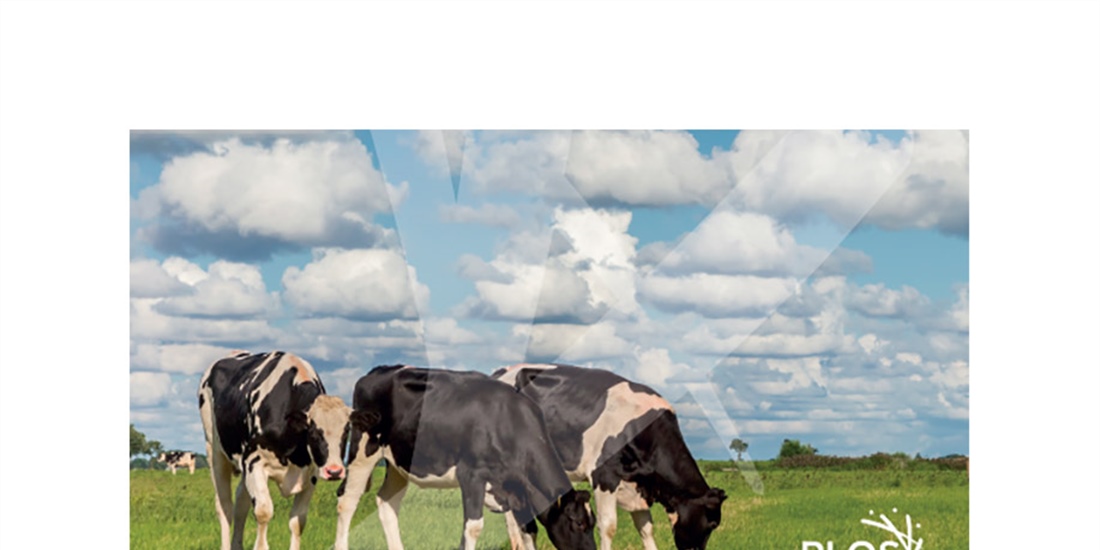 Boehringer Ingelheim anuncia un estudio sobre el impacto de la diarrea...