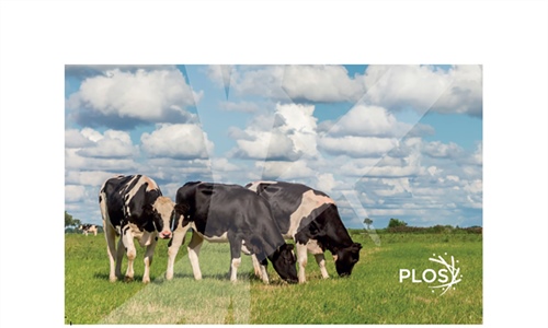 Boehringer Ingelheim anuncia un estudio sobre el impacto de la diarrea...