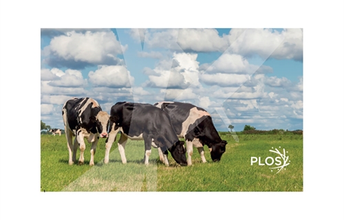 Boehringer Ingelheim anuncia un estudio sobre el impacto de la diarrea...