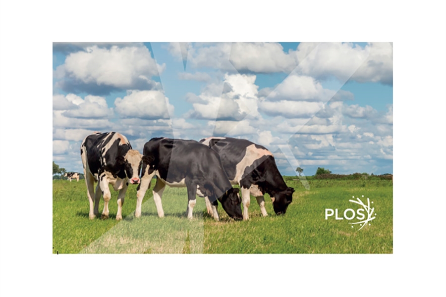 Boehringer Ingelheim anuncia un estudio sobre el impacto de la diarrea...
