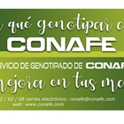 Servicio de genotipado de CONAFE: La mejora en tus manos