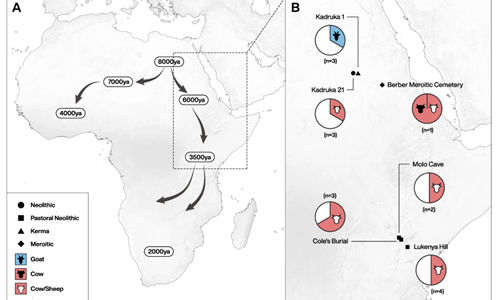 Un estudio cientfico permite rastrear el consumo de leche en frica...