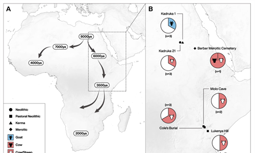 Un estudio cientfico permite rastrear el consumo de leche en frica...