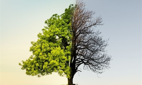 Agroseguro organiza una jornada sobre el cambio climtico y su impacto...