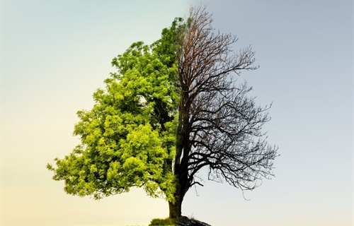 Agroseguro organiza una jornada sobre el cambio climtico y su impacto...