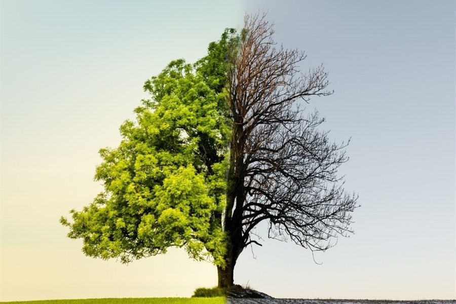 Agroseguro organiza una jornada sobre el cambio climtico y su impacto...