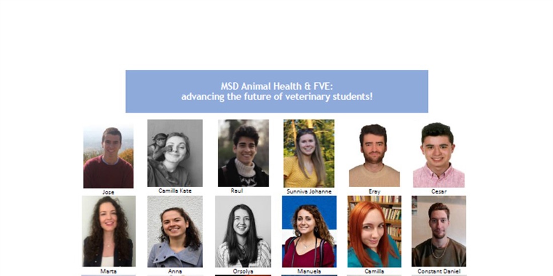 MSD Animal Health y FVE becan a 36 estudiantes de veterinaria de toda...