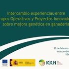 Intercambio de experiencias entre Grupos Operativos y Proyectos Innovadores sobre mejora genética en ganadería