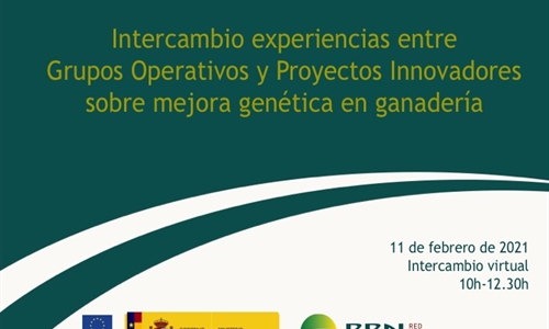 Intercambio de experiencias entre Grupos Operativos y Proyectos...