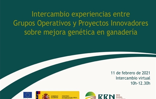 Intercambio de experiencias entre Grupos Operativos y Proyectos...