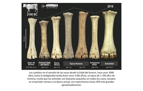 La arqueologa demuestra que la poltica y la economa tienen un gran...