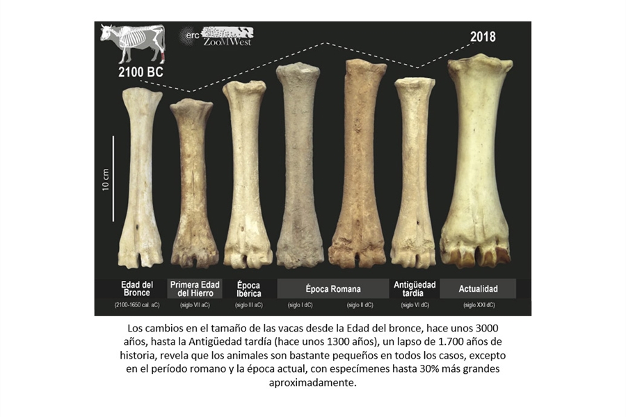 La arqueologa demuestra que la poltica y la economa tienen un gran...