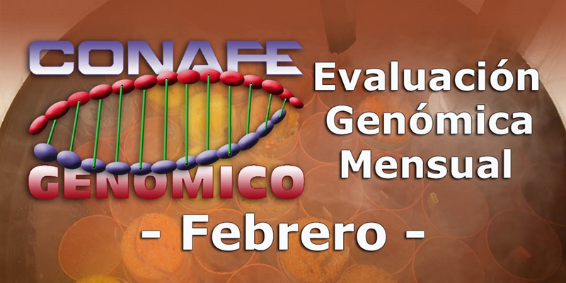 Nuevos toros genmicos con Prueba Oficial: Evaluacin genmica de febrero 2021