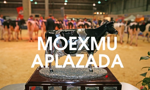 Se aplaza MOEXMU 2021