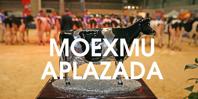 Se aplaza MOEXMU 2021