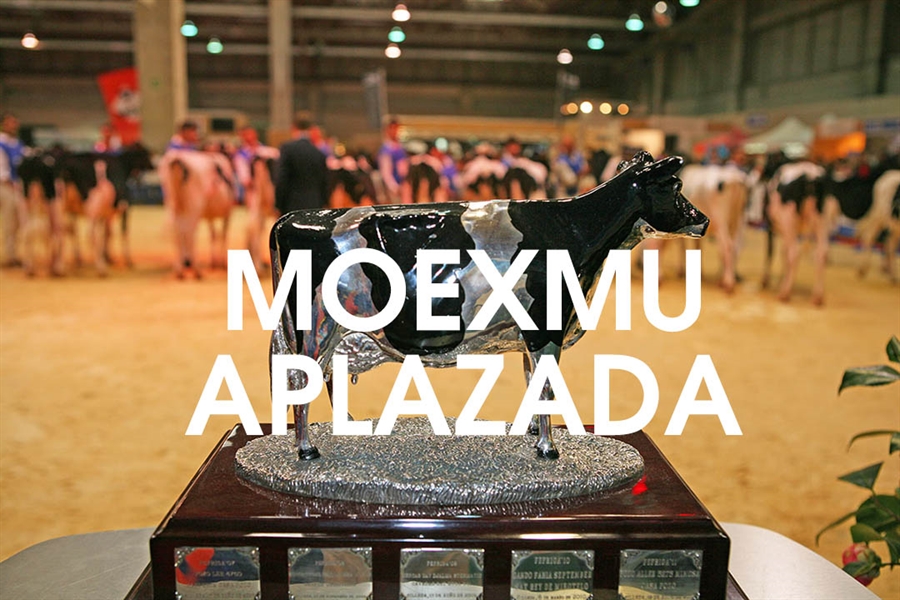 Se aplaza MOEXMU 2021