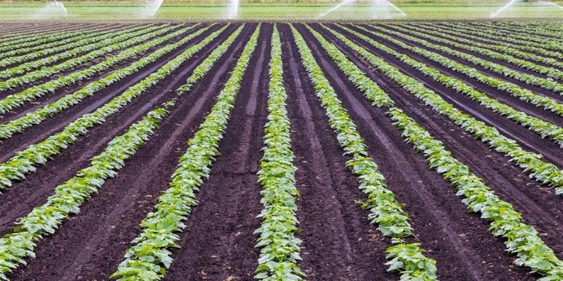 Agroseguro incorpora la tecnologa RPA para la eficiencia de sus...