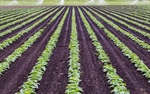 Agroseguro incorpora la tecnología RPA para la eficiencia de sus procesos operativos
