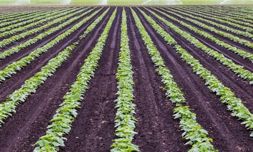 Agroseguro incorpora la tecnología RPA para la eficiencia de sus...
