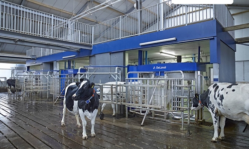 DeLaval VMS ordeo robotizado por lotes se presenta como un nuevo...