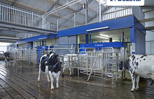 DeLaval VMS ordeo robotizado por lotes se presenta como un nuevo...