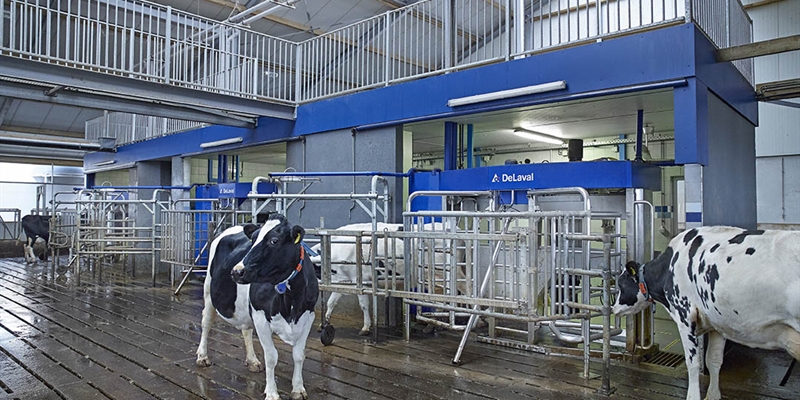 DeLaval VMS ordeo robotizado por lotes se presenta como un nuevo enfoque para explotaciones lecheras de gran tamao