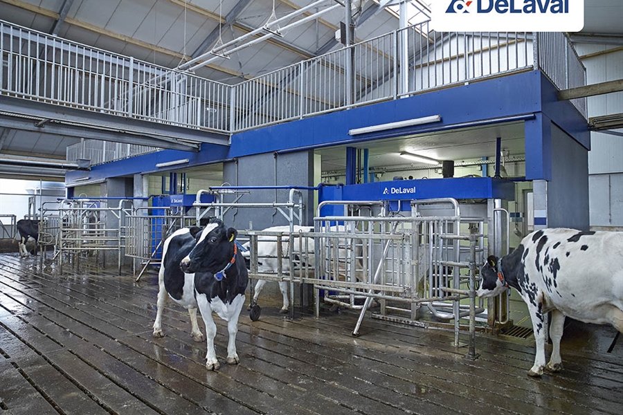 DeLaval VMS ordeo robotizado por lotes se presenta como un nuevo...