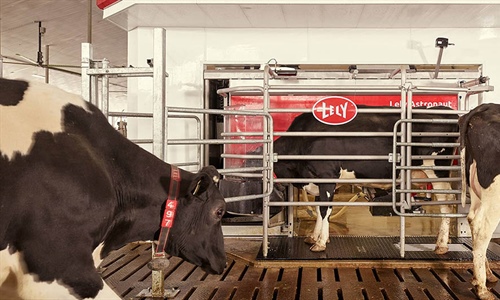 Lely instala un Commodity feeder en cada nuevo Lely Astronaut A5