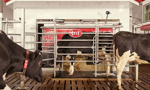 Lely instala un Commodity feeder en cada nuevo Lely Astronaut A5