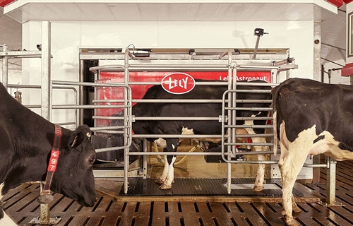 Lely instala un Commodity feeder en cada nuevo Lely Astronaut A5