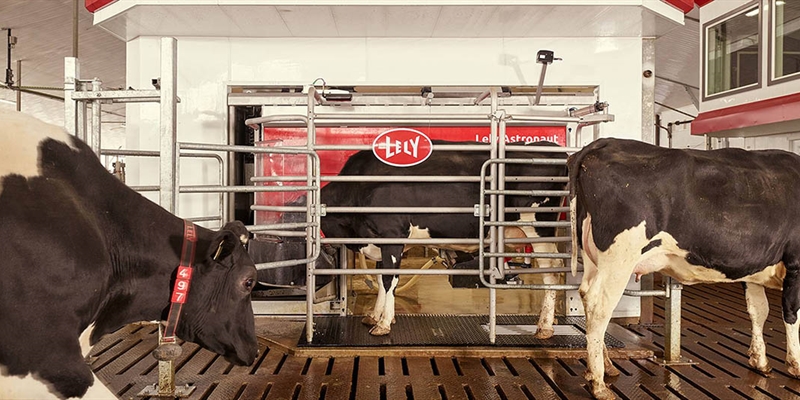 Lely instala un Commodity feeder en cada nuevo Lely Astronaut A5