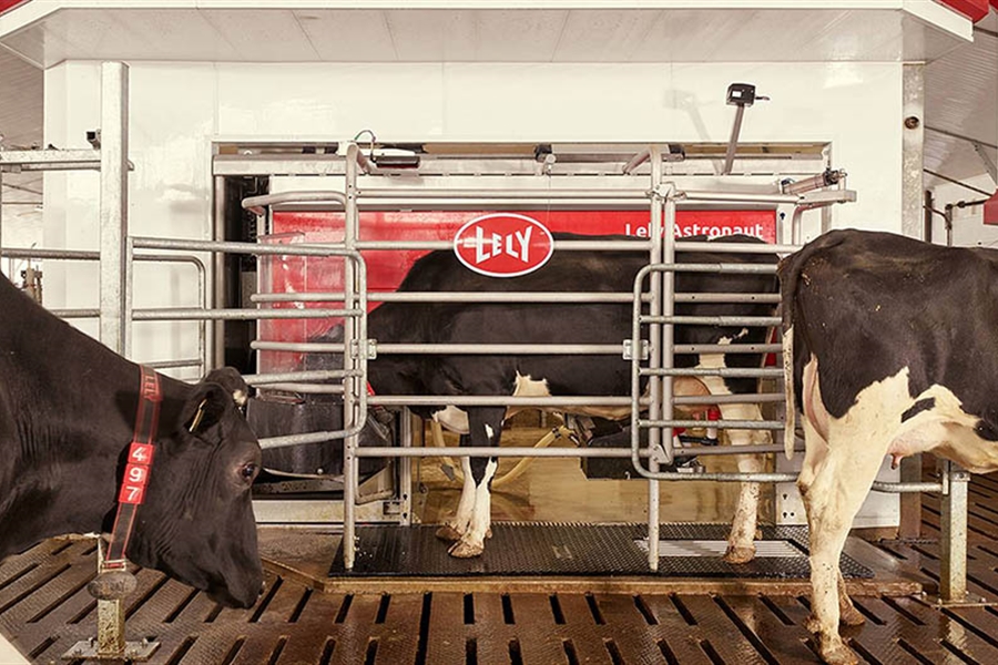 Lely instala un Commodity feeder en cada nuevo Lely Astronaut A5