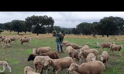 Vdeo: Titularidad Compartida de las Explotaciones Agrarias