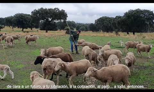 Vdeo: Titularidad Compartida de las Explotaciones Agrarias