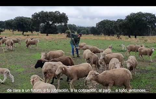 Vdeo: Titularidad Compartida de las Explotaciones Agrarias