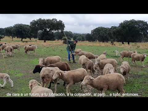 Vídeo: Titularidad Compartida de las Explotaciones Agrarias