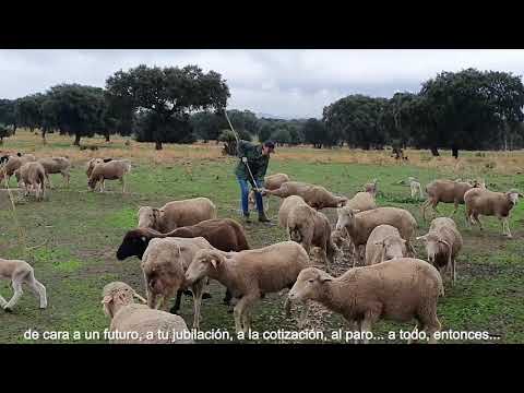 Vdeo: Titularidad Compartida de las Explotaciones Agrarias