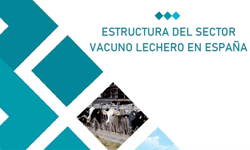 El tamao de las granjas de vacuno de leche en Espaa aumenta un 24% de...