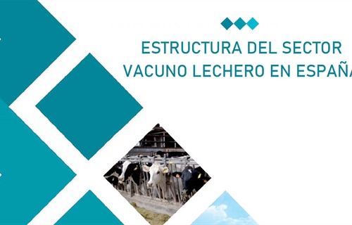 El tamao de las granjas de vacuno de leche en Espaa aumenta un 24% de...