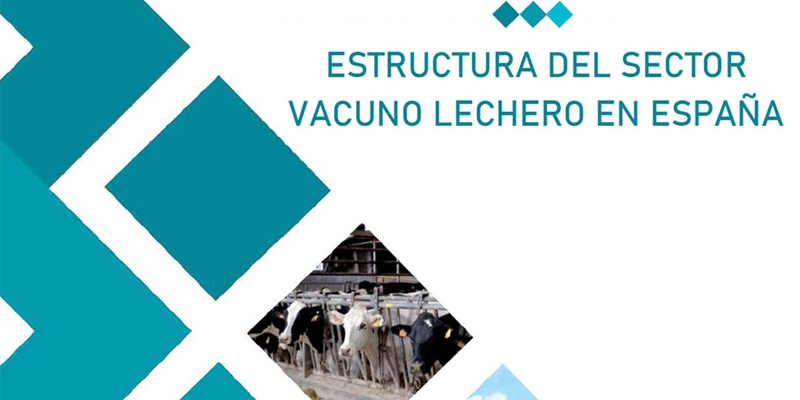 El tamao de las granjas de vacuno de leche en Espaa aumenta un 24% de 2016 a 2020