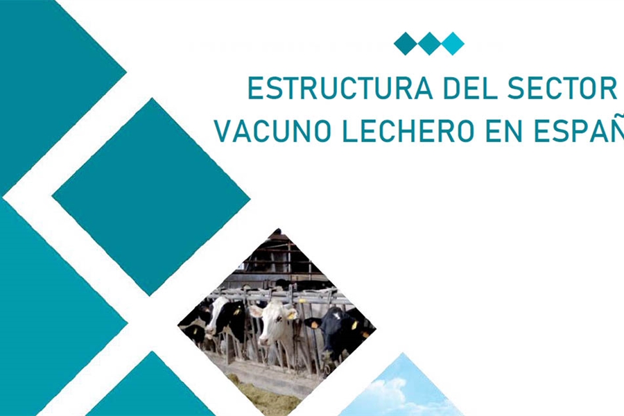 El tamaño de las granjas de vacuno de leche en España aumenta un 24% de...