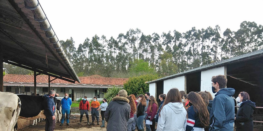 Sesin de formacin de morfologa de la raza frisona a los alumnos del...
