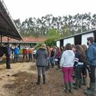 Sesin de formacin de morfologa de la raza frisona a los alumnos del Instituto de Luces